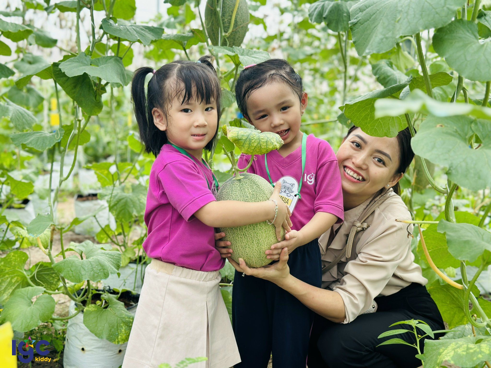 MỘT NGÀY TRẢI NGHIỆM THU HOẠCH DÂU TẰM CỦA CÁC BẠN NHỎ IGC KIDDY CƠ SỞ TÂY NINH