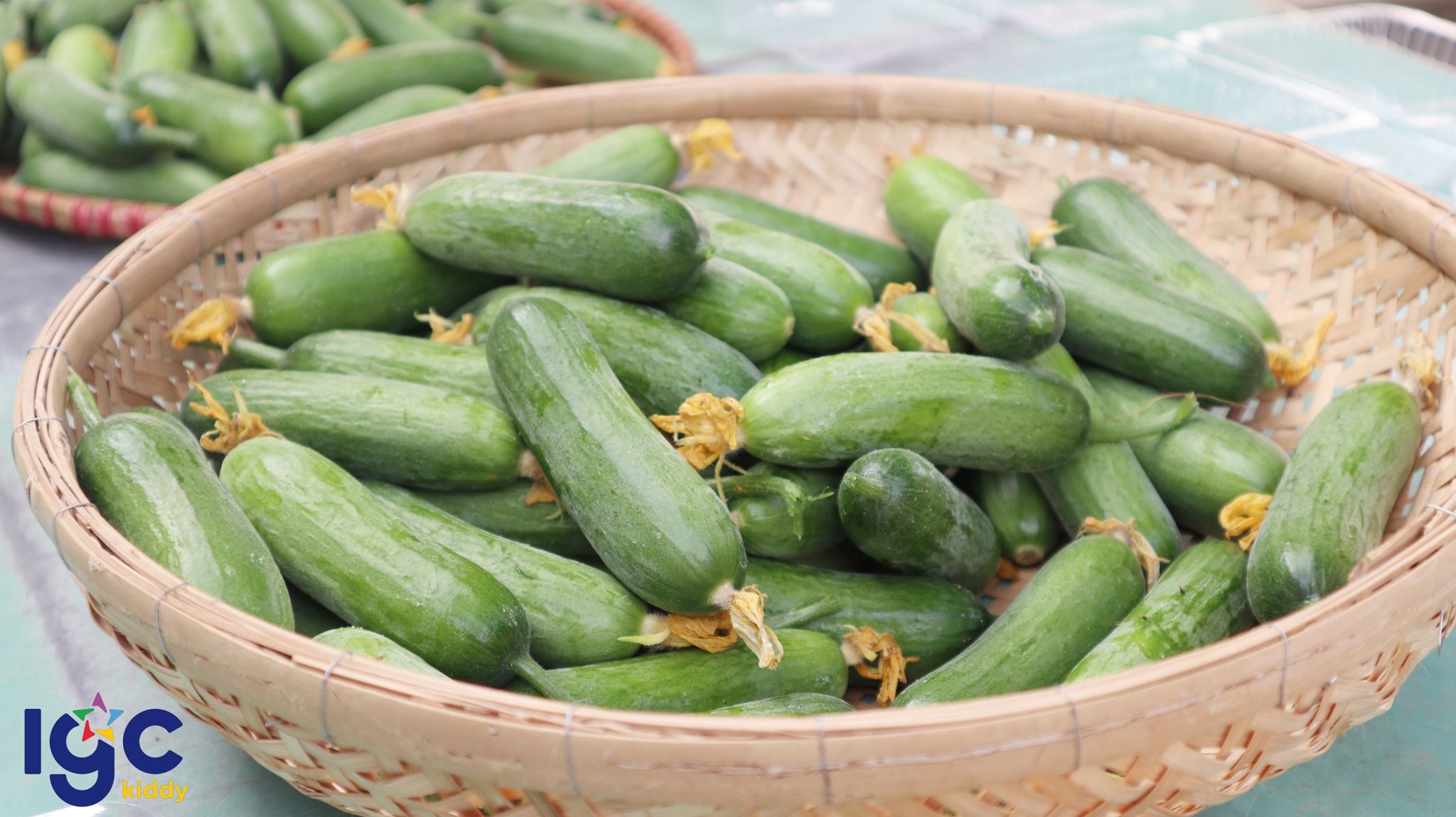 DÃ NGOẠI HĂNG SAY - HỌC NGÀN ĐIỀU HAY