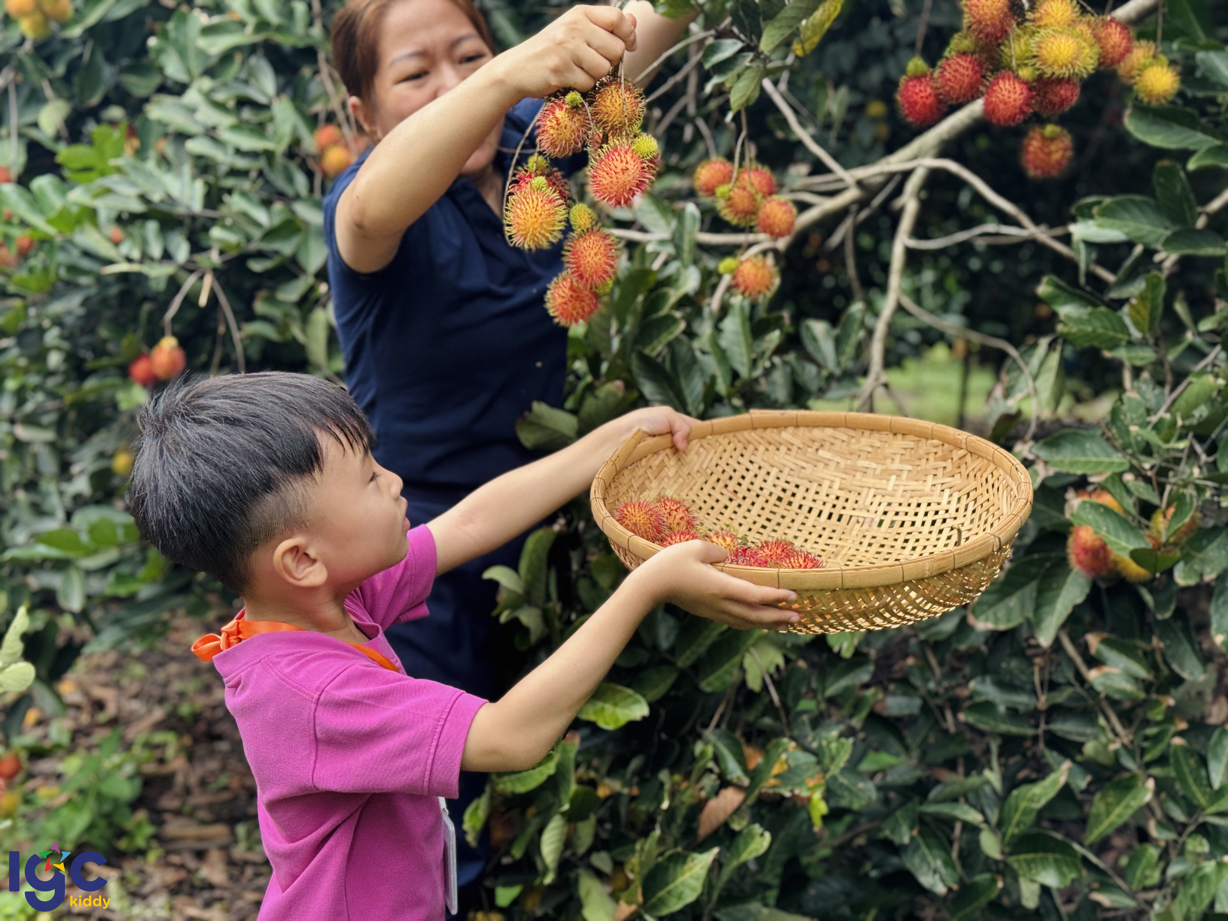 HỌC TIẾNG ANH CỰC VUI – DÃ NGOẠI CỰC CHILL CÙNG CÁC BẠN NHỎ IGC KIDDY