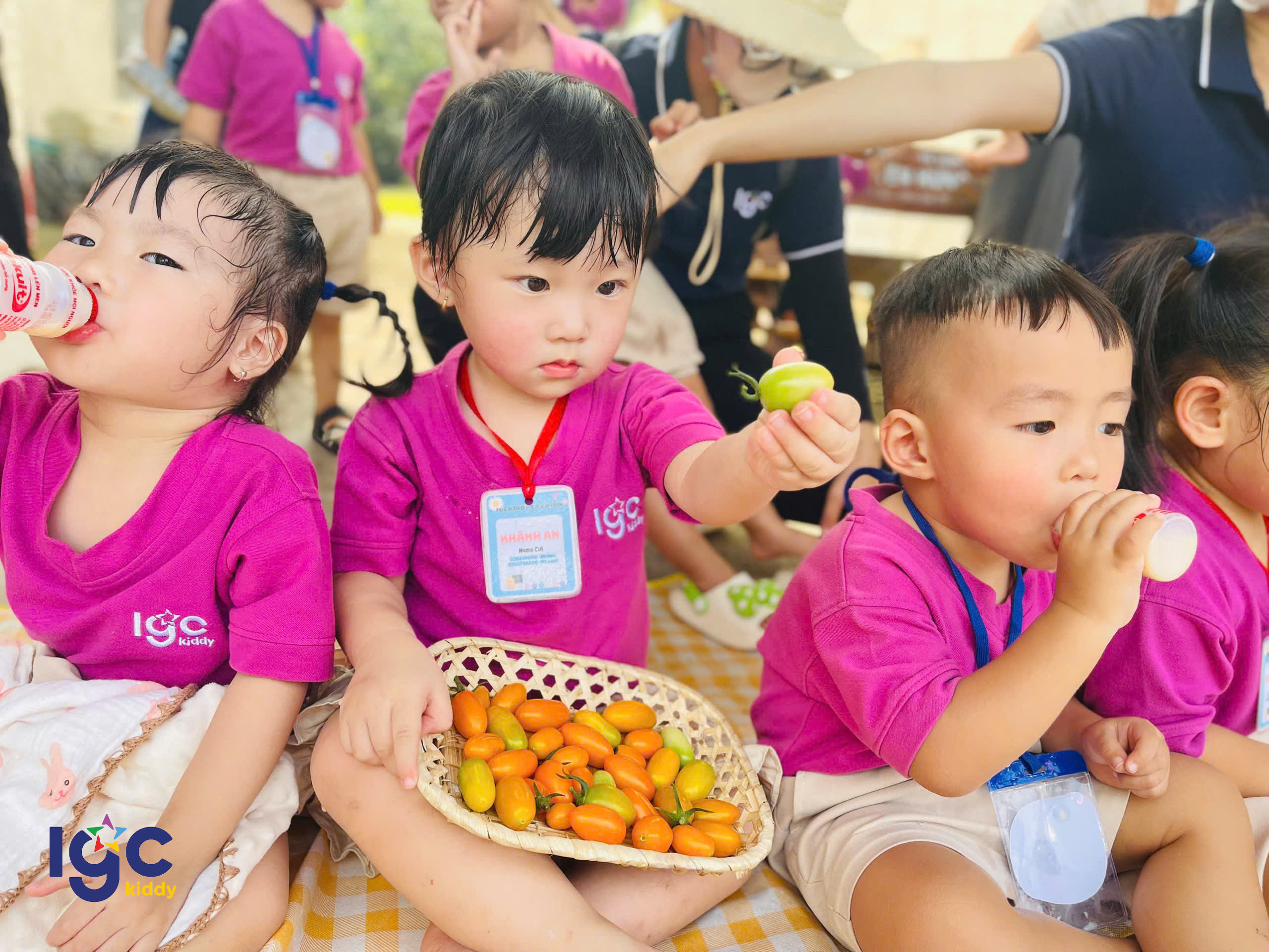 Dã Ngoại Cùng IGC Kiddy Tây Ninh – Thiên Nhiên Diệu Kỳ, Trải Nghiệm Hết Ý