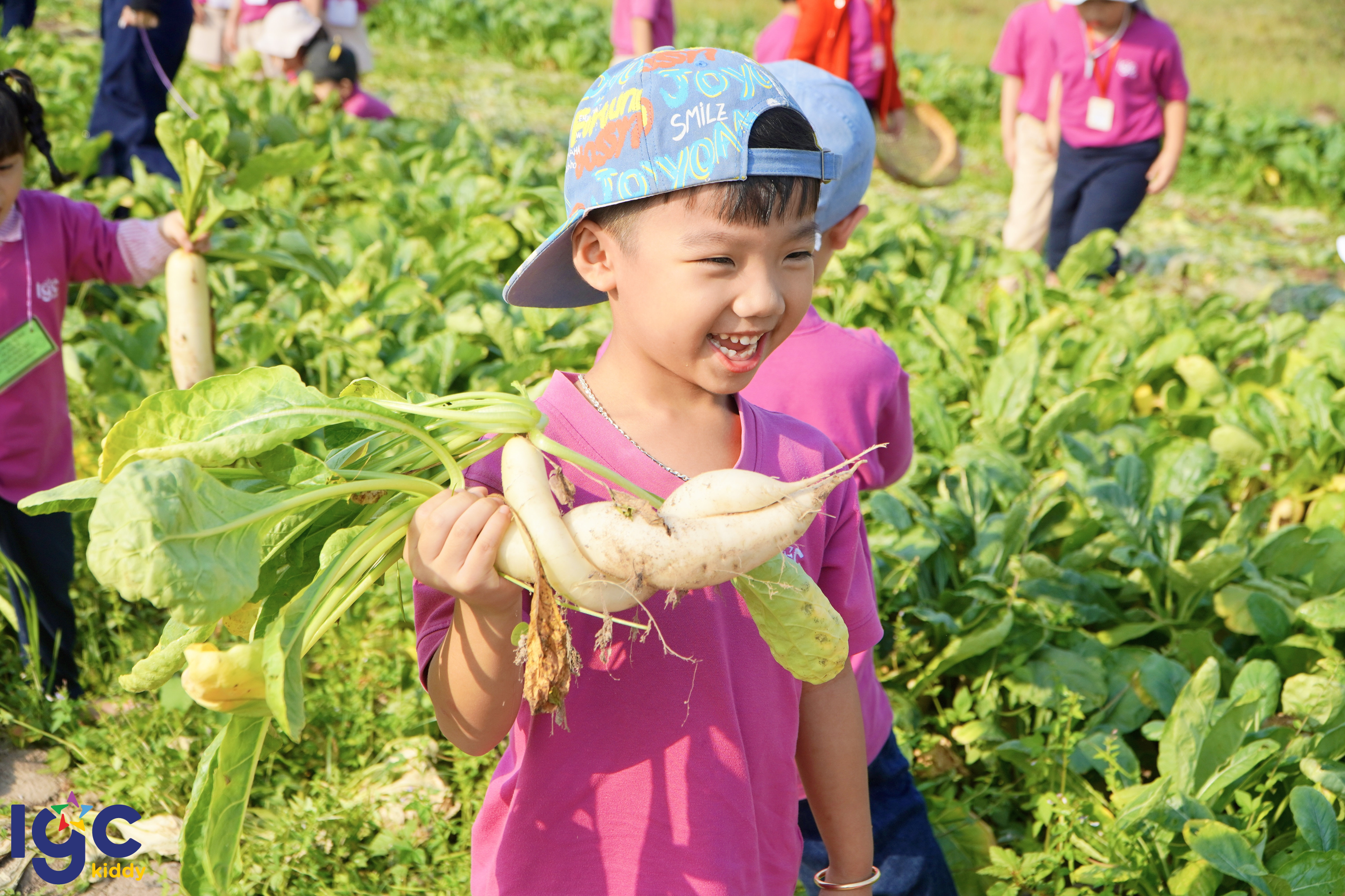 EM BÉ IGC HOÁ THÂN THÀNH “NÔNG DÂN NHÍ” THỰC THỤ – TRẢI NGHIỆM DÃ NGOẠI Ý NGHĨA TẠI IGC KIDDY TÂY NINH