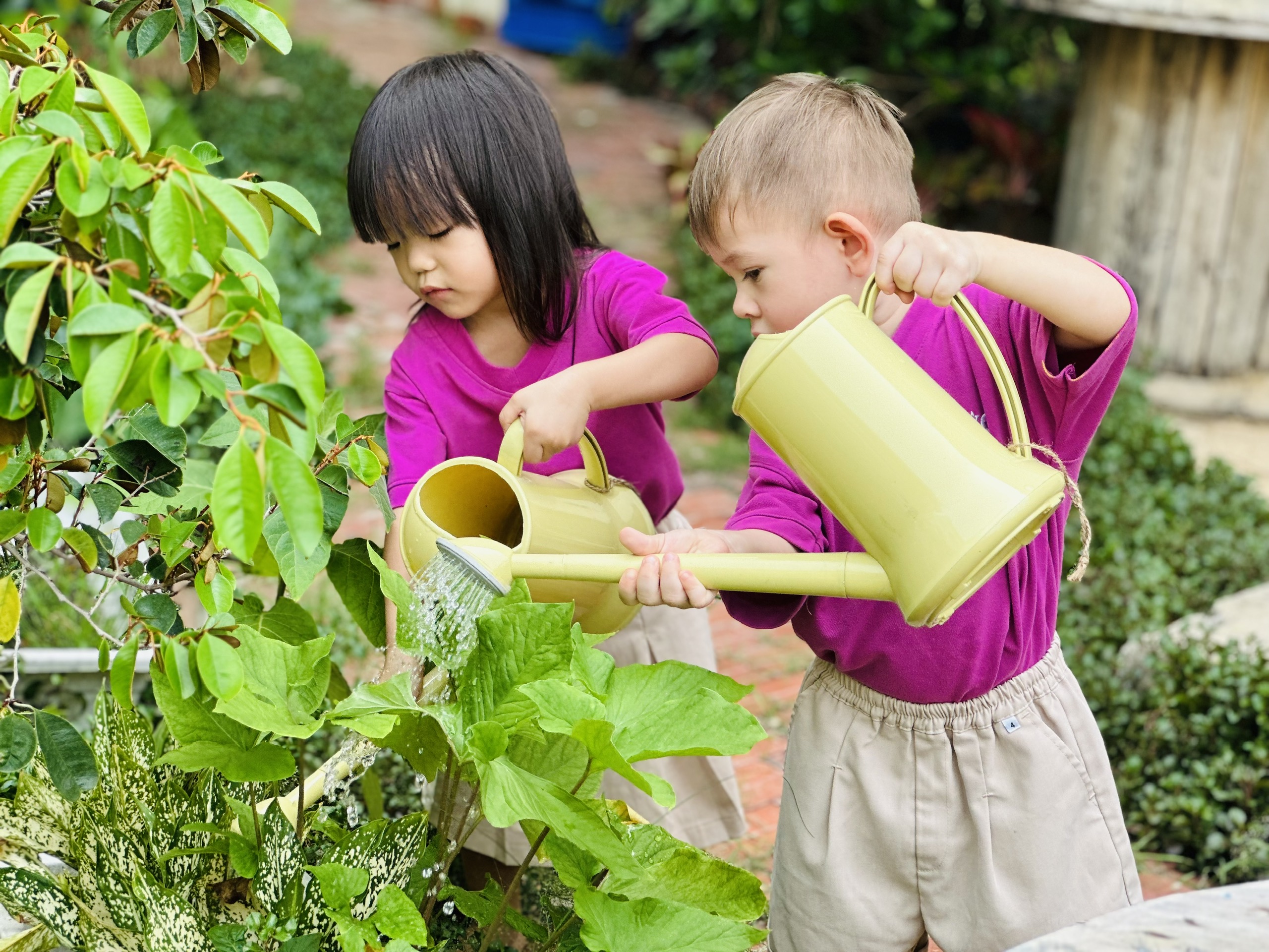 IGC Kiddy Cơ sở Tây Ninh