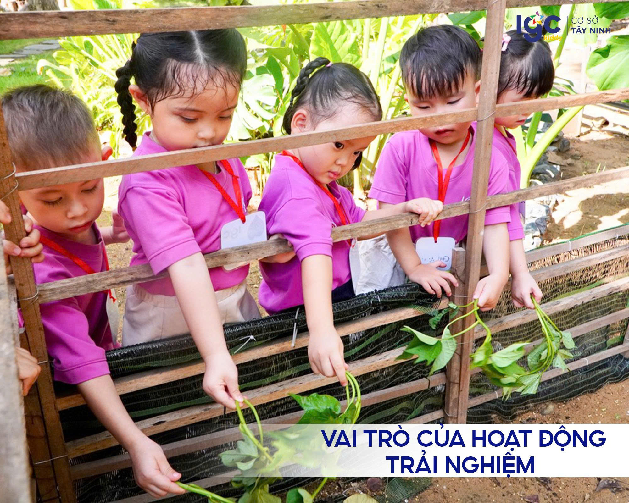 vai-tro-cua-hoat-dong-trai-nghiem